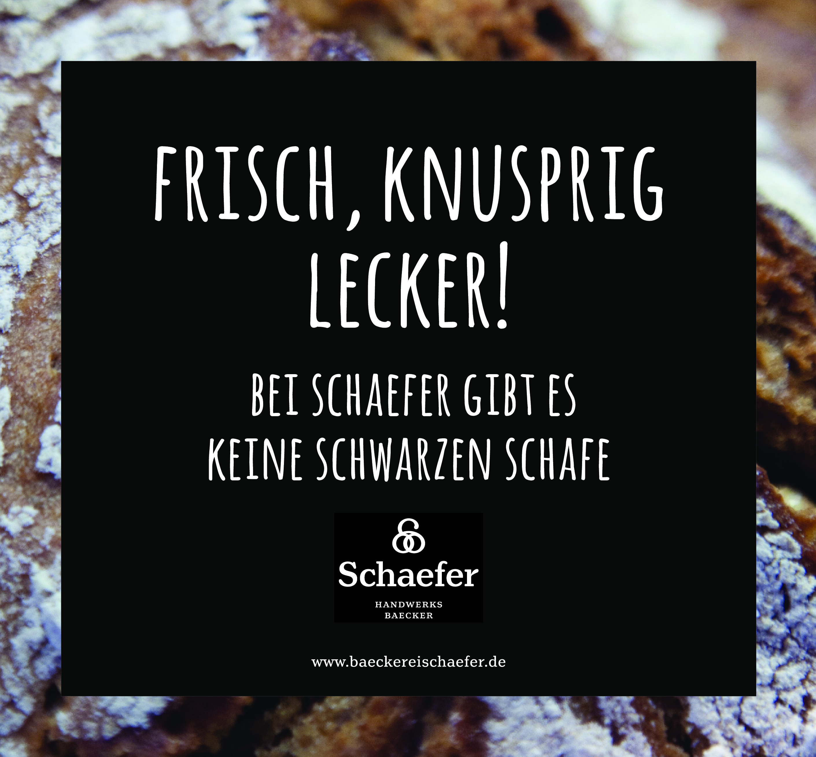 Schaefer – Anzeige Freisen 560 x 520 mm_final