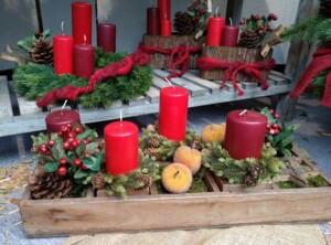 IMG_20221113_093340